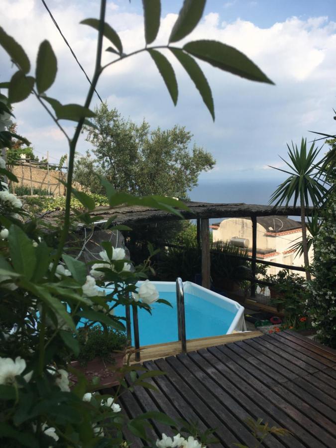 Blue Dream - Amalfi Coast Villa Conca dei Marini Eksteriør billede