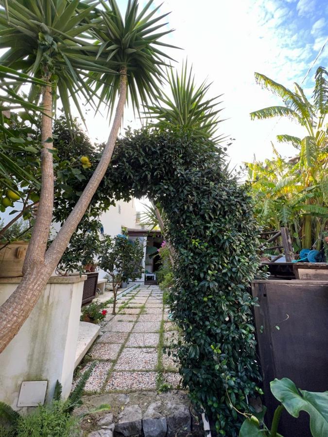 Blue Dream - Amalfi Coast Villa Conca dei Marini Eksteriør billede