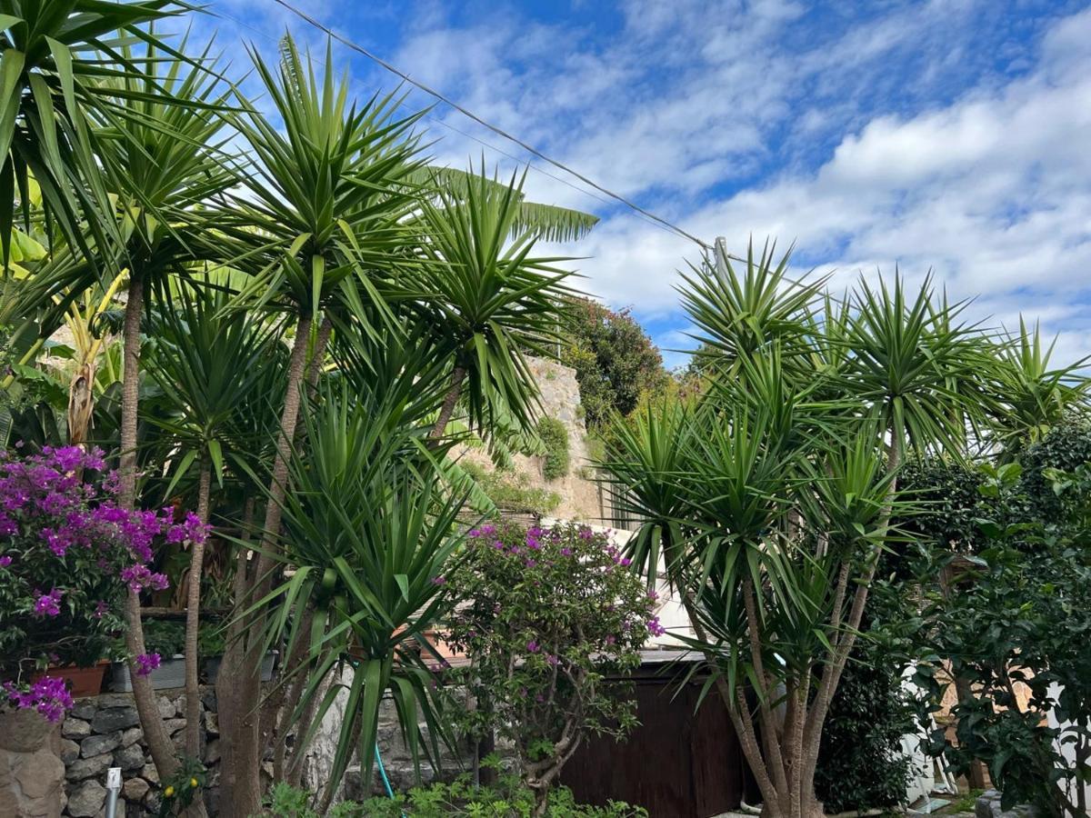 Blue Dream - Amalfi Coast Villa Conca dei Marini Eksteriør billede